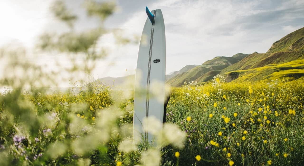 Roam how we are reducing our waste