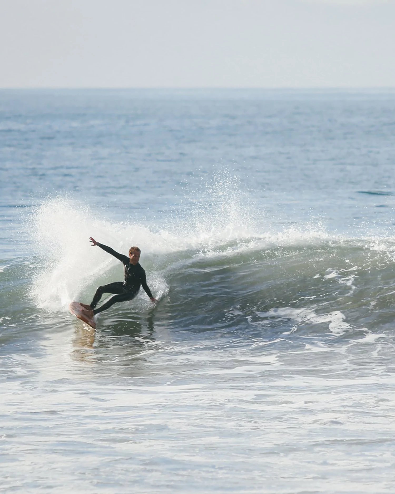 المسح في براون